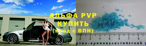 прущие грибы Горно-Алтайск