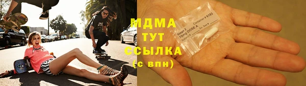 прущие грибы Горно-Алтайск