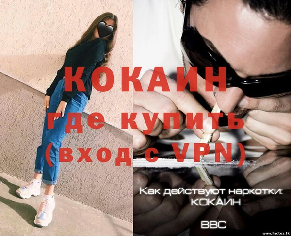 прущие грибы Горно-Алтайск