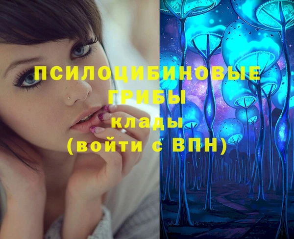 прущие грибы Горно-Алтайск